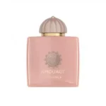 عطر آمواج گایدنس | Amouage Guidance
