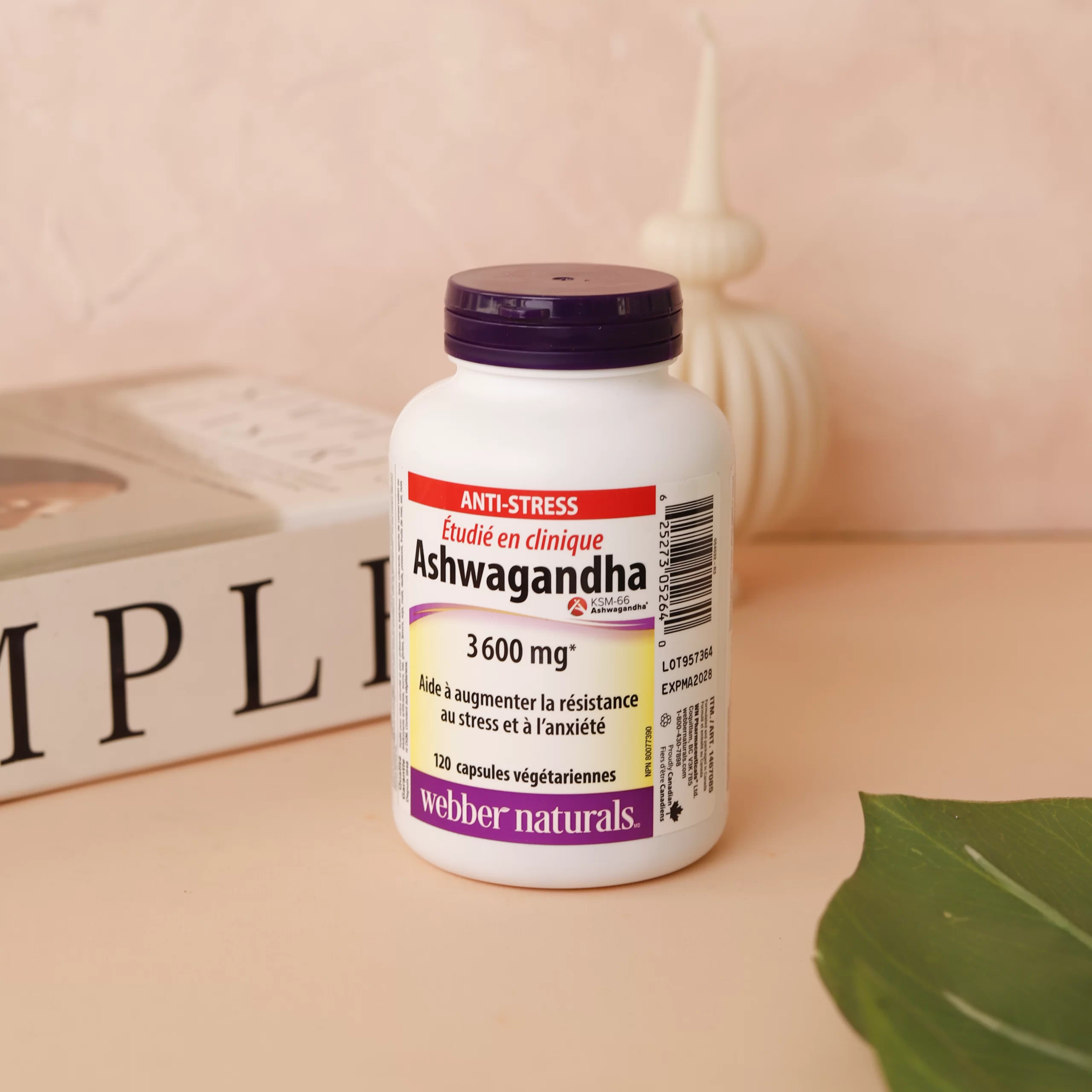 MG_6979-scaled-1.webp آشواگاندا وبر نچرالز - تصویر 1