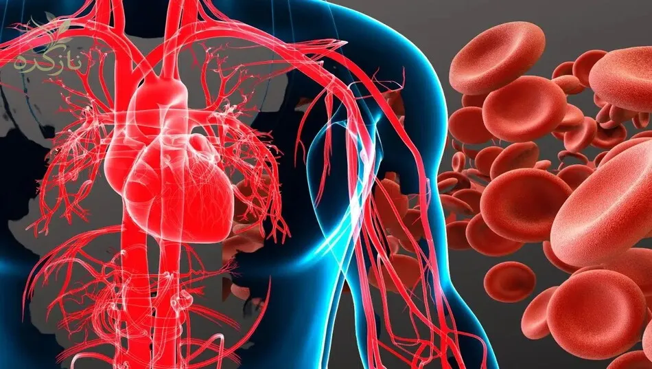 فقر آهن چیست و چگونه در بدن ایجاد می‌شود؟